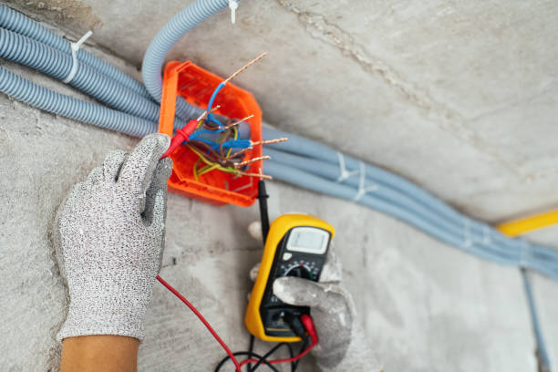 Best Electric Panel Repair  in Glennville, GA
